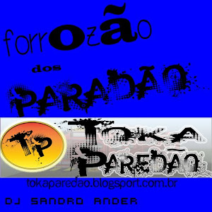 FORROZÃO DOS PAREDÃO - DJ SANDRO ANDER - TOKA PAREDÃO