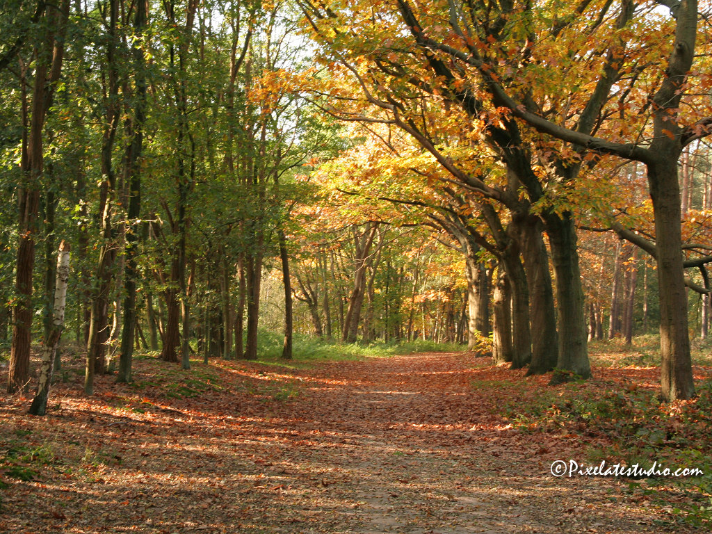 hd wallpapers,nature hd,desktop wallpaper hd | Galerry Wallpaper