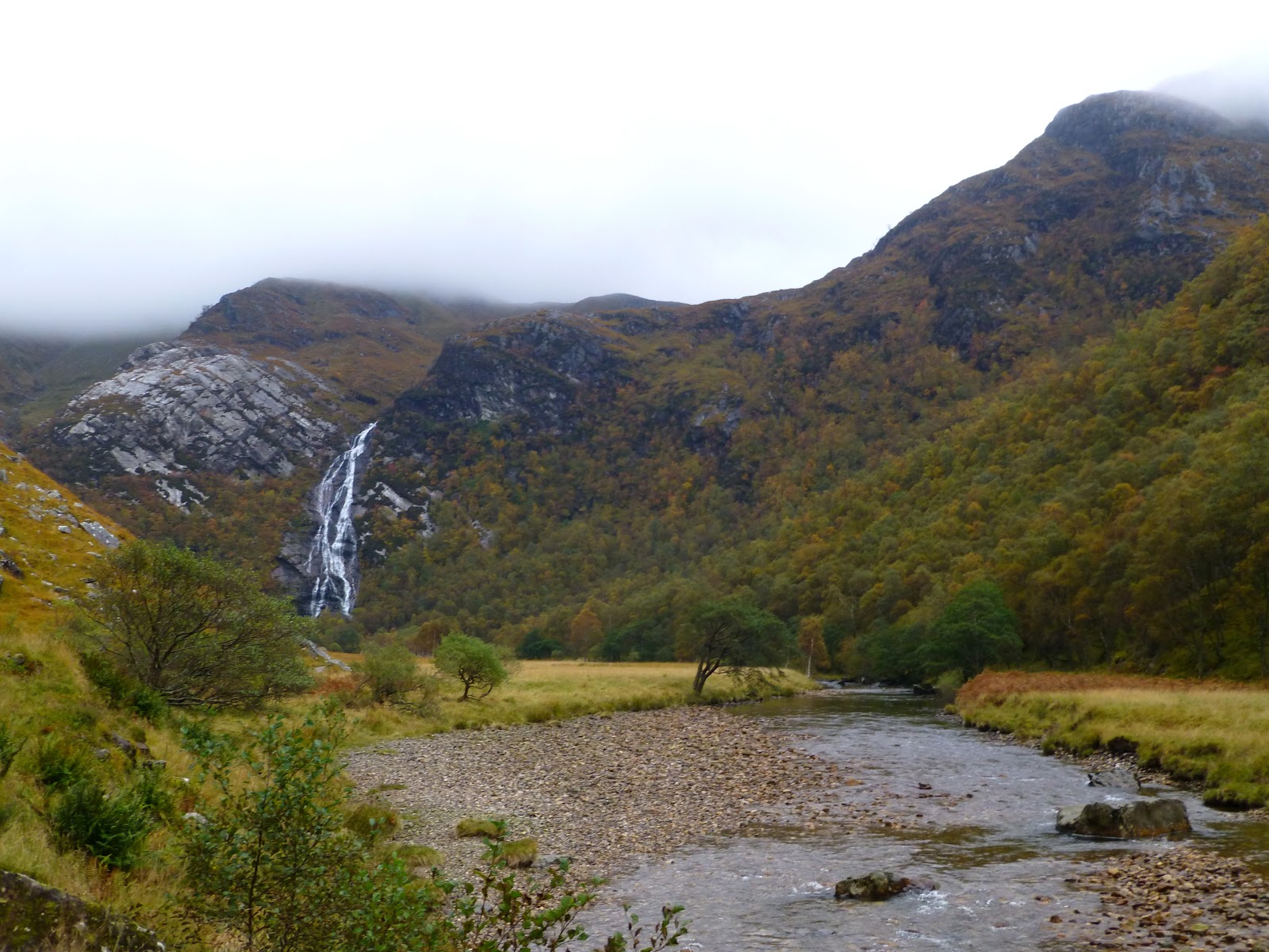 Big Gorse Bush Mostly Glen Nevis (again) Holiday in Lochaber.