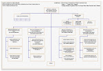 BAGAN STRUKTUR ORGANISASI