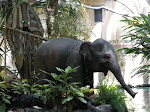 Jungle Cruise Baby Elephant