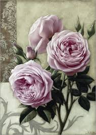 igor pro one rose per experiment igor pro one rose per experiment