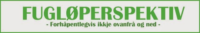 Fugløperspektiv