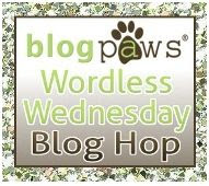 Wordless Wednesday Blog Hop