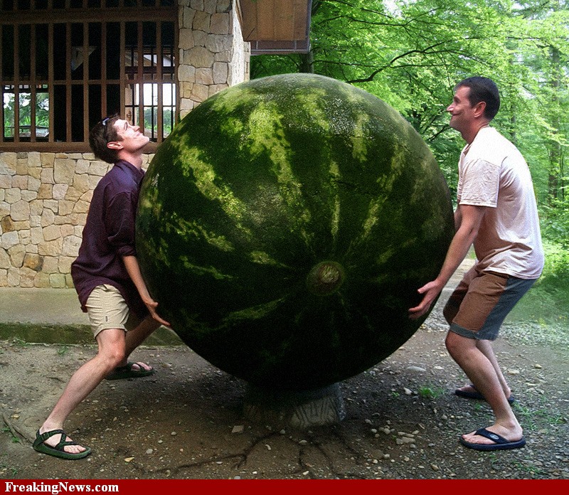 Men-Lifting-Huge-Watermelon-62448.jpg