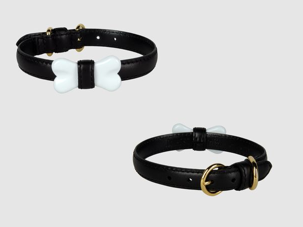 moschino dog collar