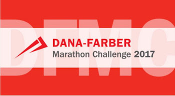 Please cick on the Dana Farber Marathon Challenge LOGO Below to reach my fundrasing page