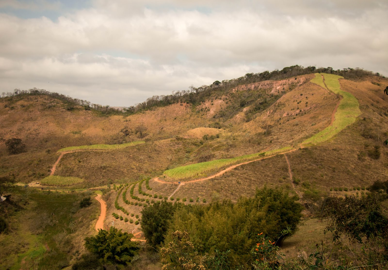 Nossa Fazenda