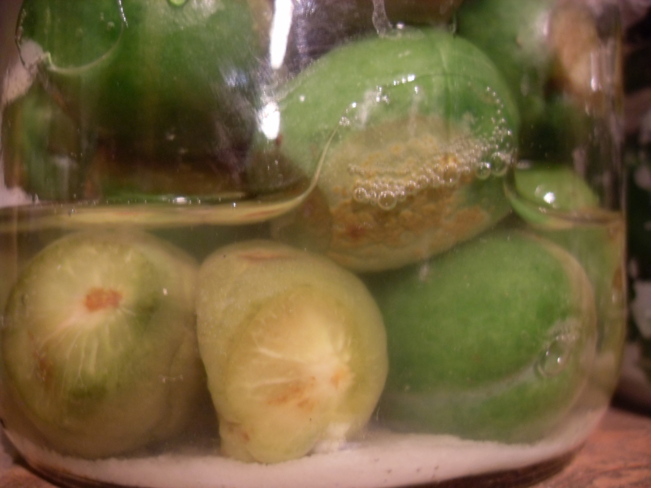 Rag Picker ExtraOrdinaire Green Plums For Umeboshi Nontraditional