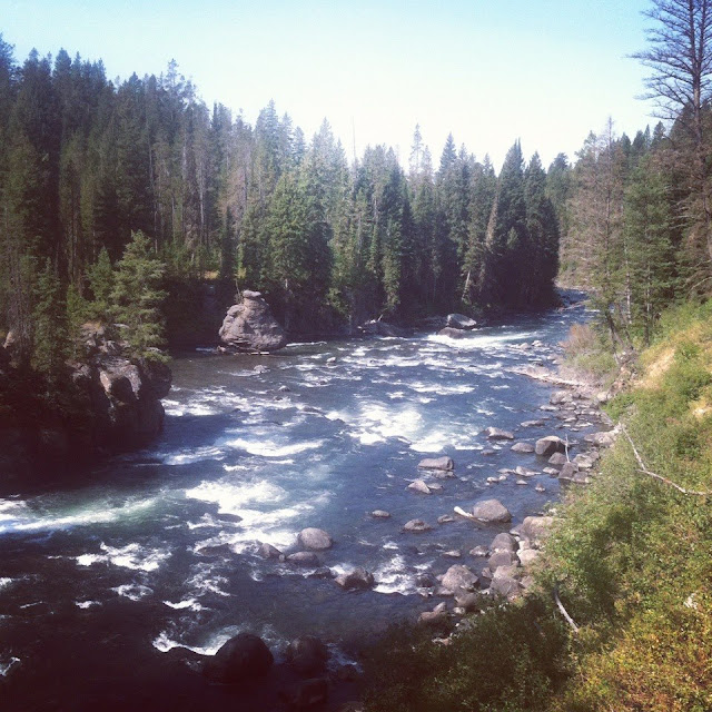 North Fork Fly Fishing Fall River, Idaho