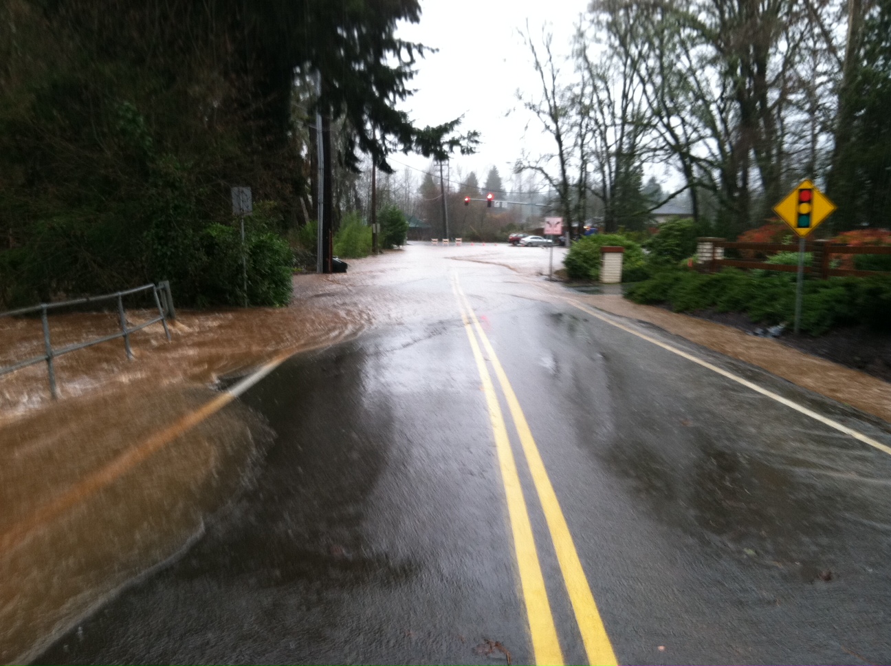 Flooding on Croisan Creek
