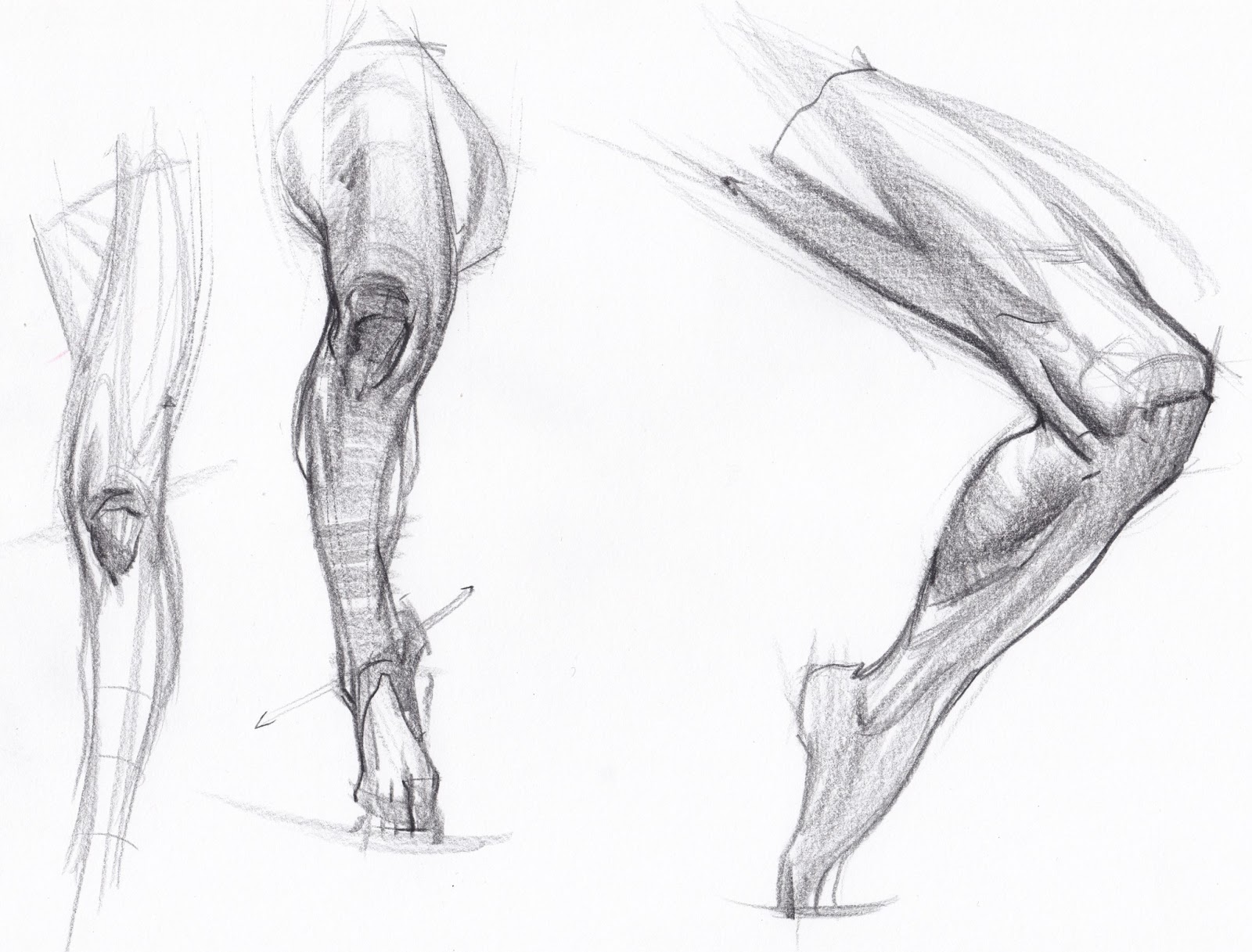 男性下肢腿部的绘画素材艺用图片-普画网