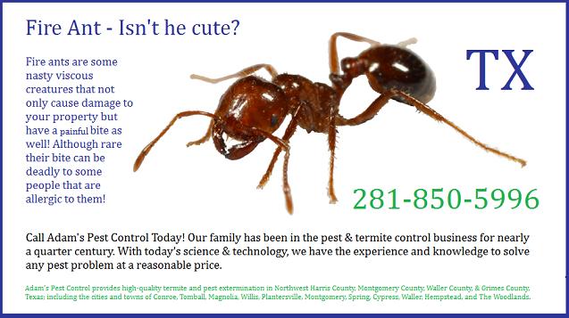 pest control