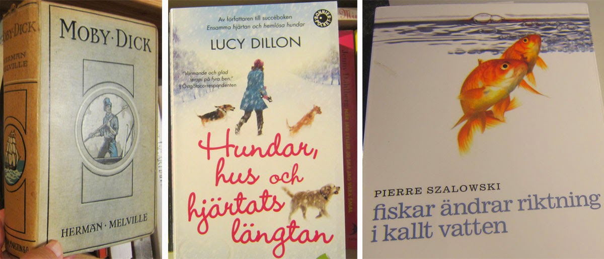 dejting för hundar choklad