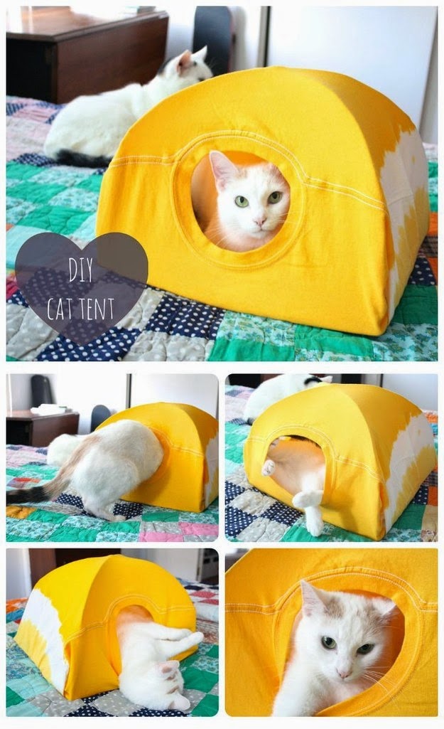 26 Hacks That Will Make Any Cat Owner’s Life Easier DIY Craft Projects