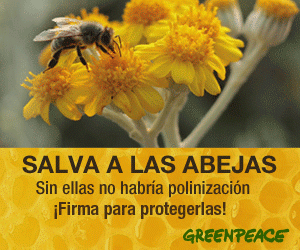 Salva a las abejas