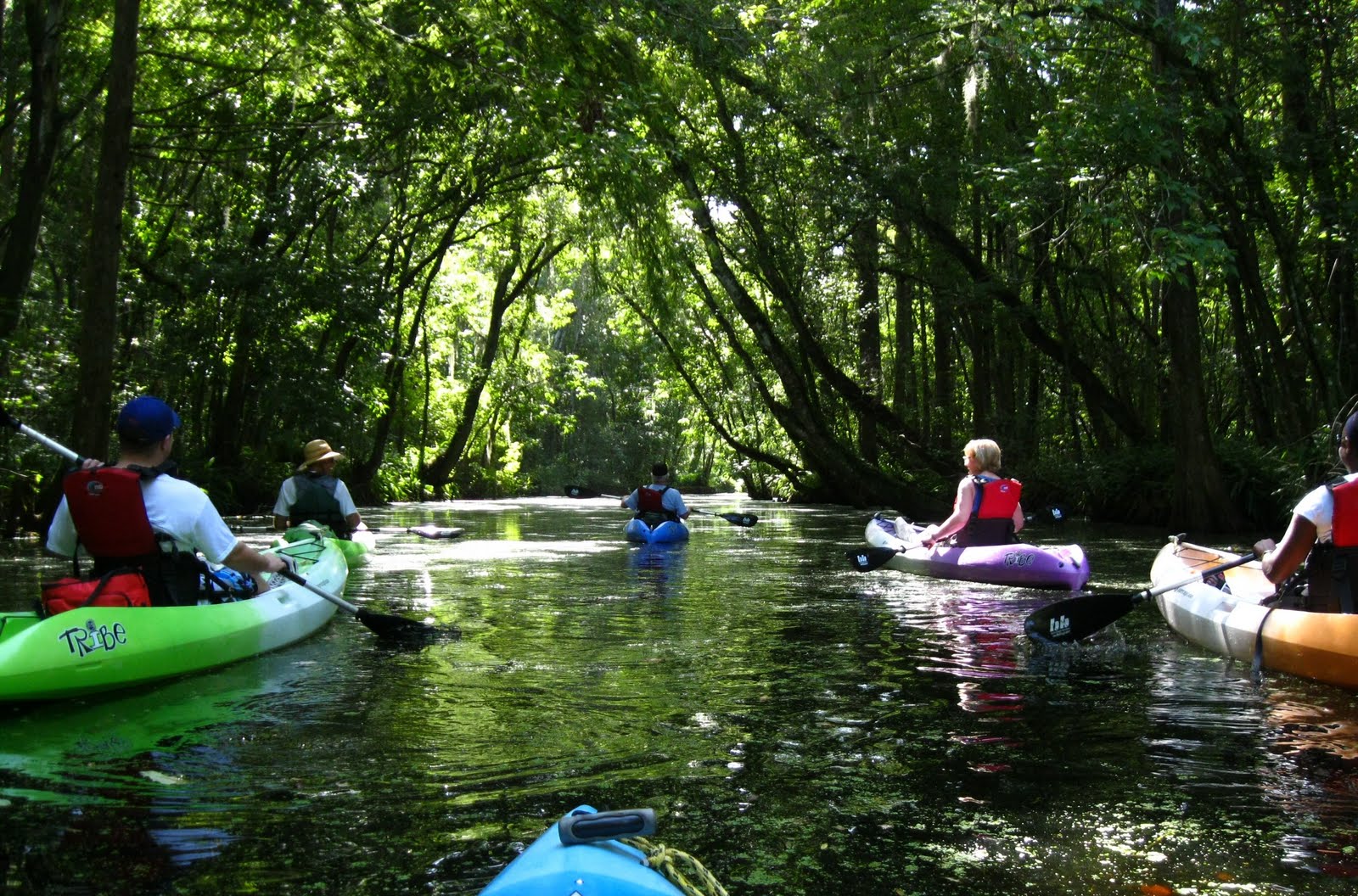 Central Florida Kayak Tours: Kayaking the beautiful Dora ...