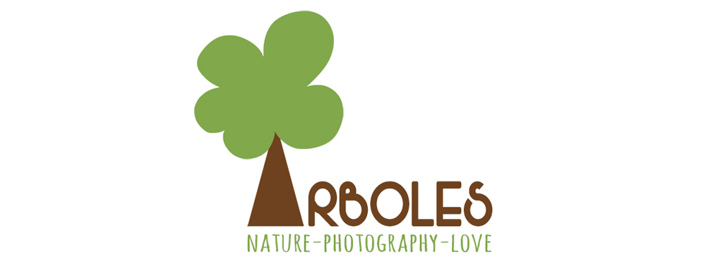 Árboles. Nature, Photography, Love