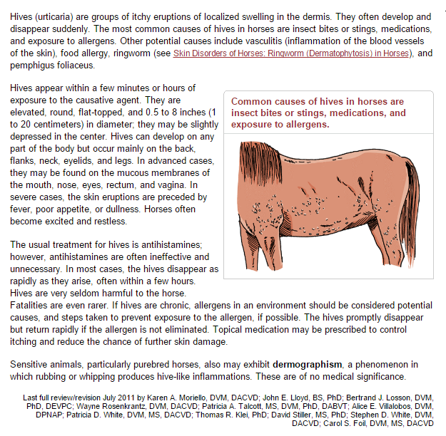 The Opinionated Mare Wednesday Wit's End. The Equine Raindrop