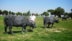 Les vaches de bronze de St-Apollinaire