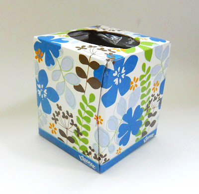 Tissue box craft