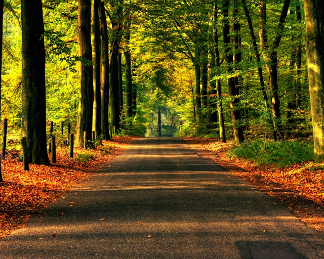 Autumn-pictures-+Wallpaper-Photos-gallery-2011-021