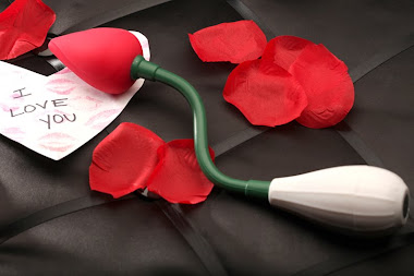 Valentine Day Rose Vibrator