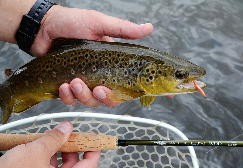 Book Review Dynamic Nymphing by Daniel Fly Fish Food Fly