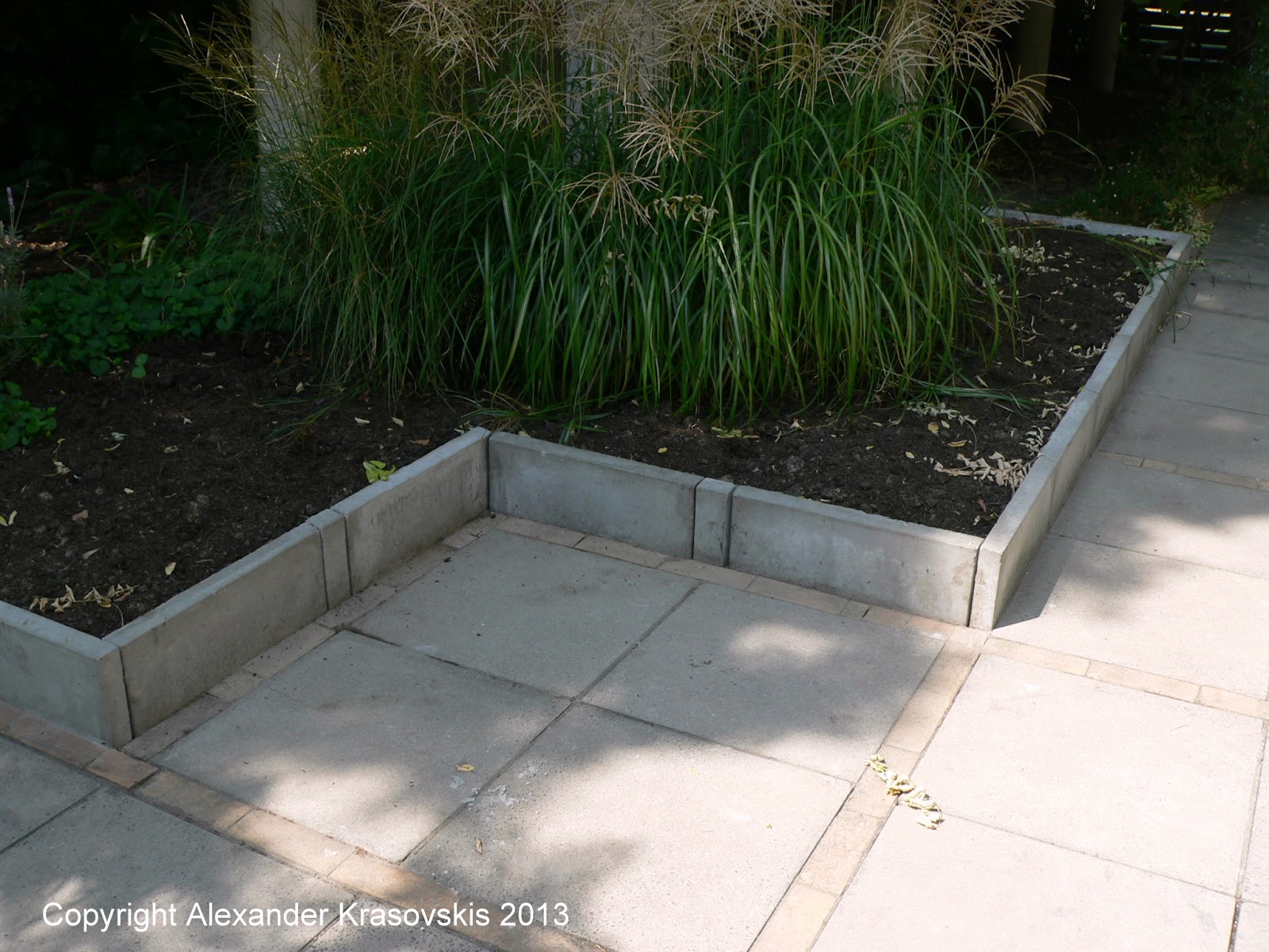 Aggregata Plants & Gardens: February 2013