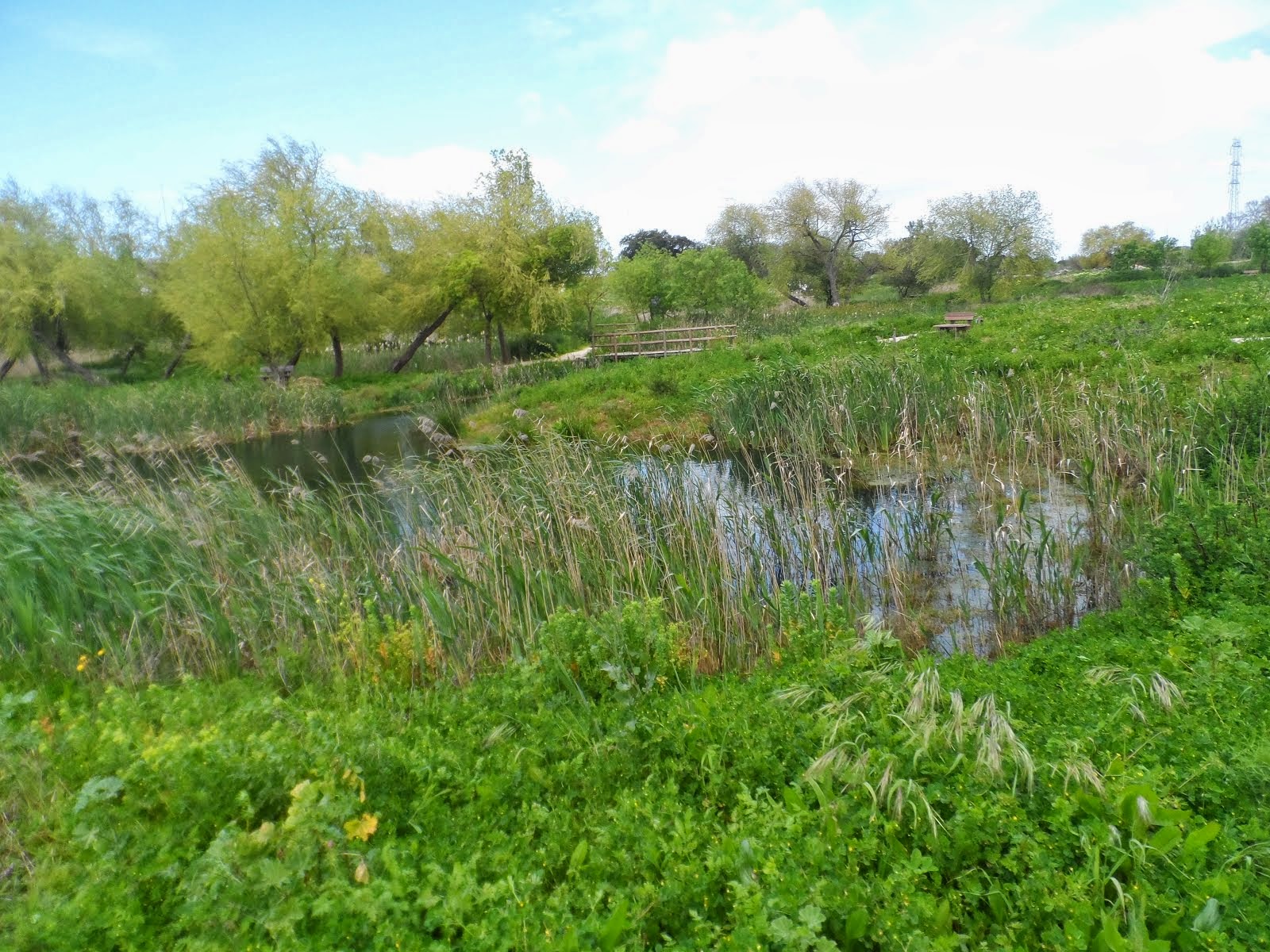 O Conde da Quinta Parque da Ribeira Quinta do Conde