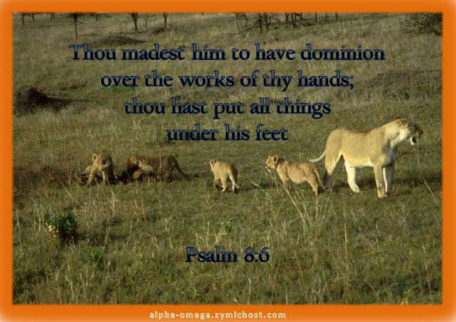 Thou madest him to have dominion over the works of thy hands; thou hast put all things under his feet: