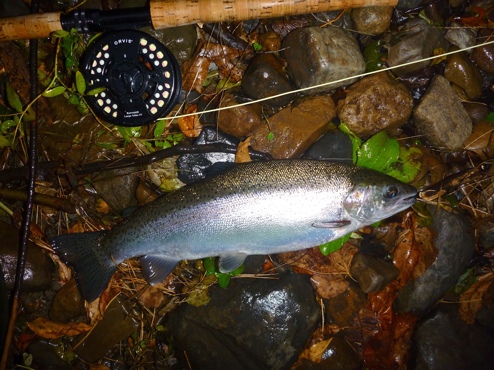 Atlantic Salmon Flies Landlocked Salmon Fishing October 2012