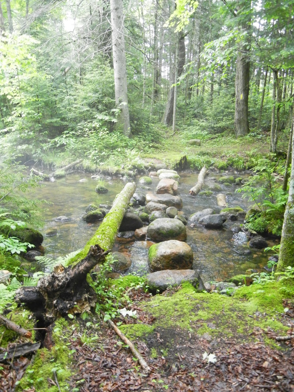Hiking with Heather Ice Age Trail Plover River Segment