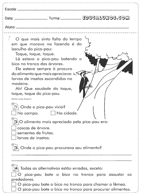 Interpretação de texto sobre o Pica-Pau
