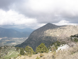 ΑΡΤΕΜΙΣΙΟ ΚΟΡΥΦΗ ΤΣΟΥΓΚΑ 1371m. ΑΡΤΕΜΙΣΙΟ