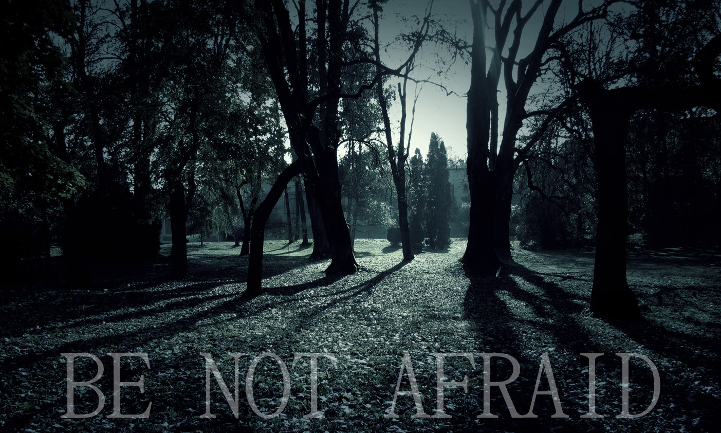 how to a not to be scared douglas december 2011 how to a not to be scared douglas december 2011