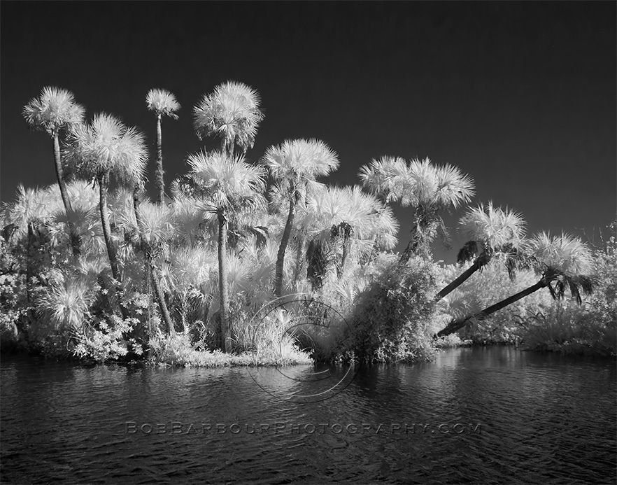 Infrared Night Photography