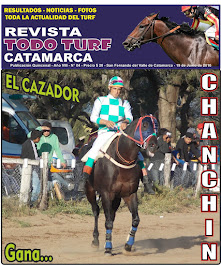 REVISTA Nº 4 - 2016