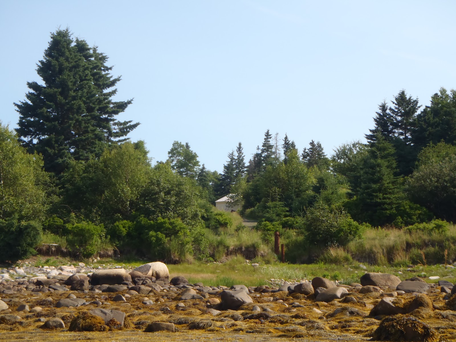 Rowe Tribe Oak Island, Nova Scotia