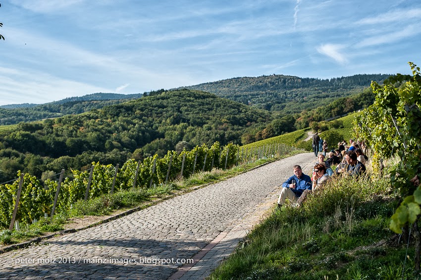 Koch Oder Gartner ǀ Massstab Natur Der Freitag