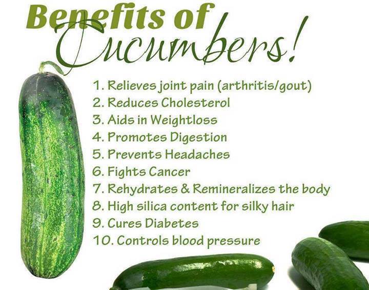 Life Style Benefits Of Cucumbers