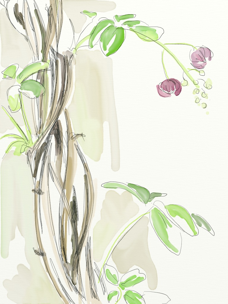 My New Garden | digital art sketches