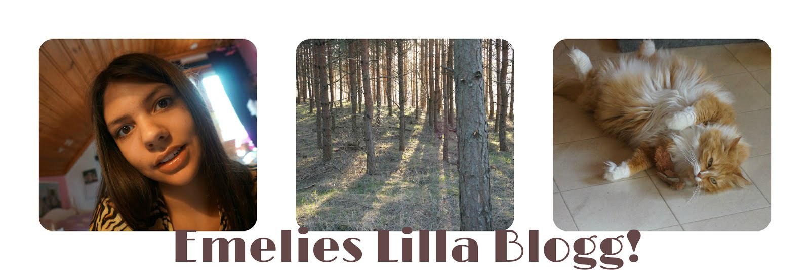 ♥Emelies Lilla Blogg♥