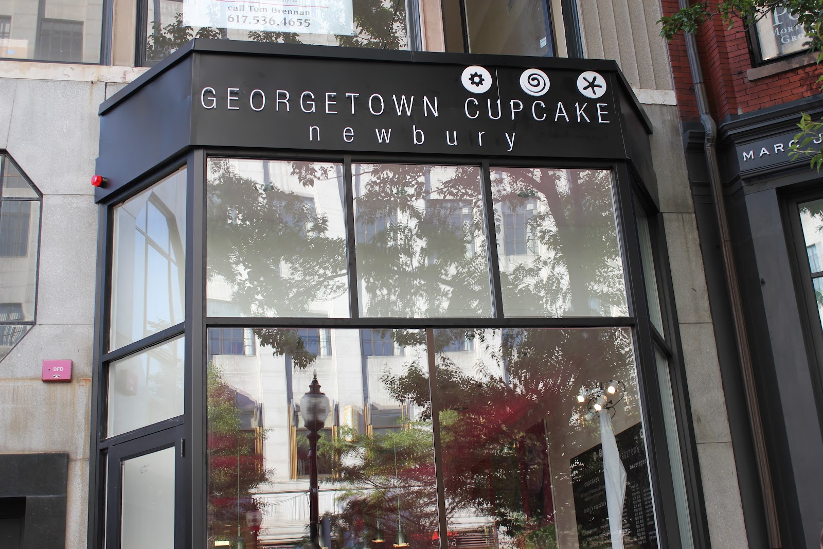 Delicious Dishings Cupcake Newbury