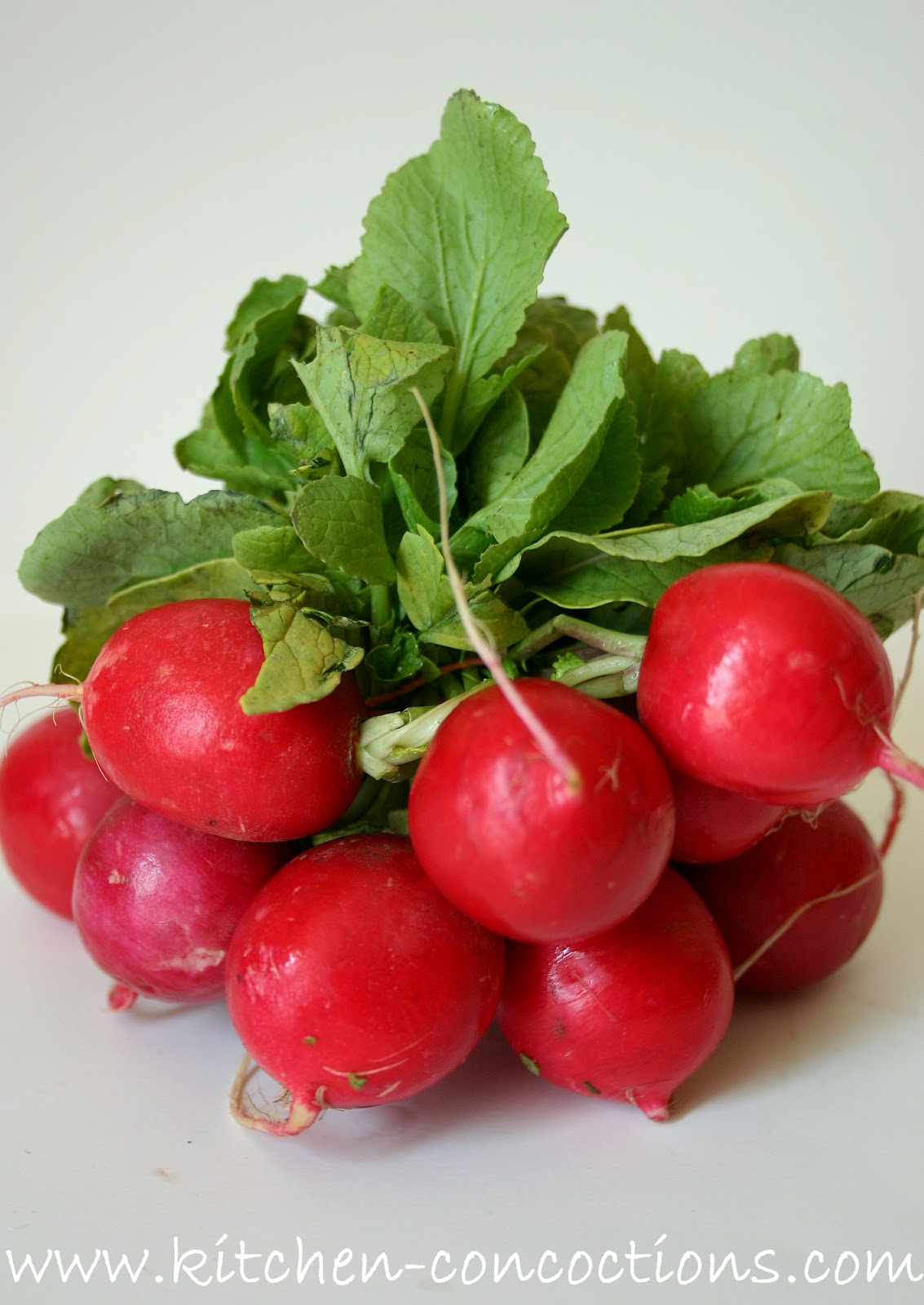 In Season Radish Kitchen Concoctions