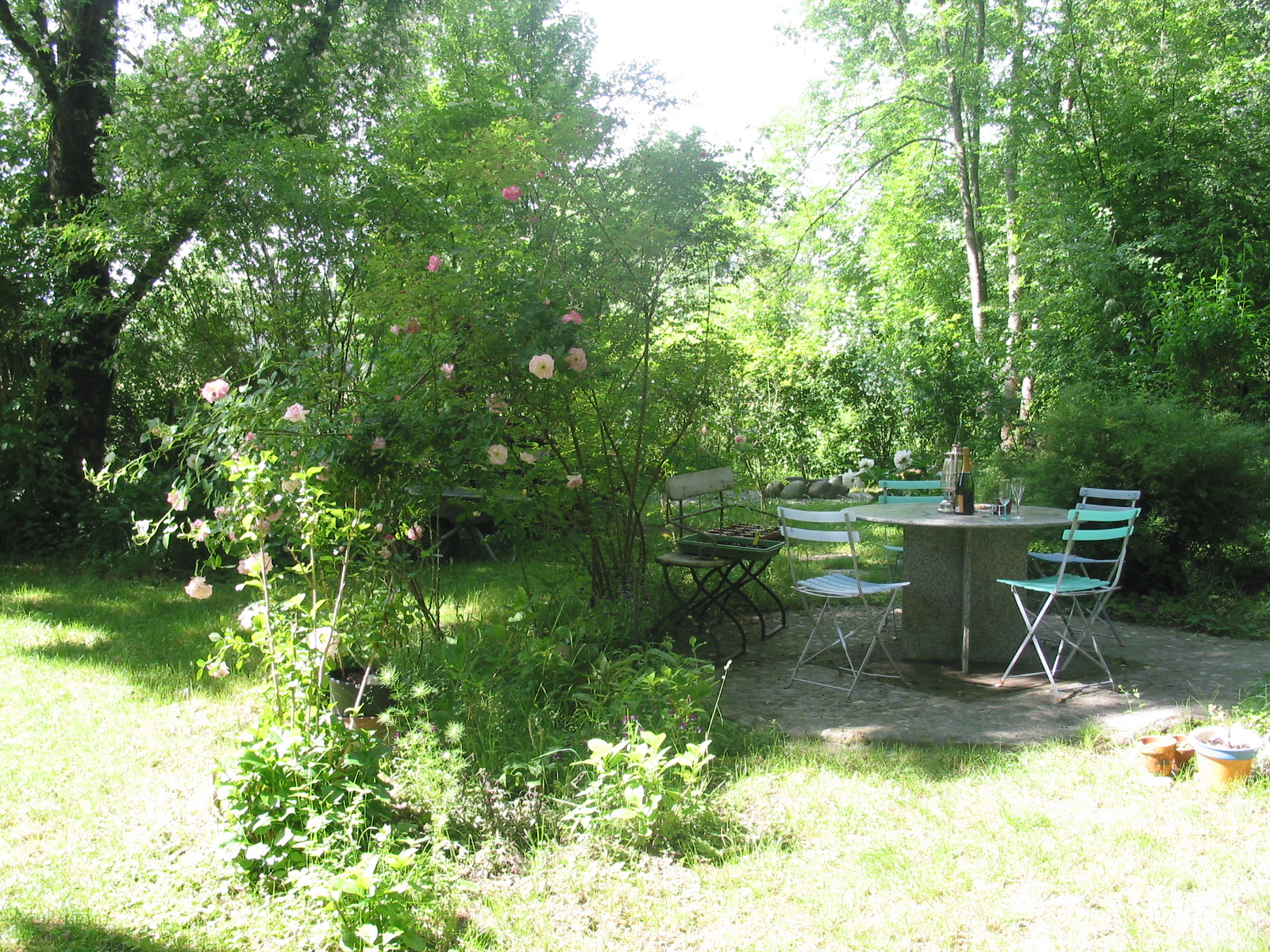 Gartenmalereien Mein wilder romantischer Garten