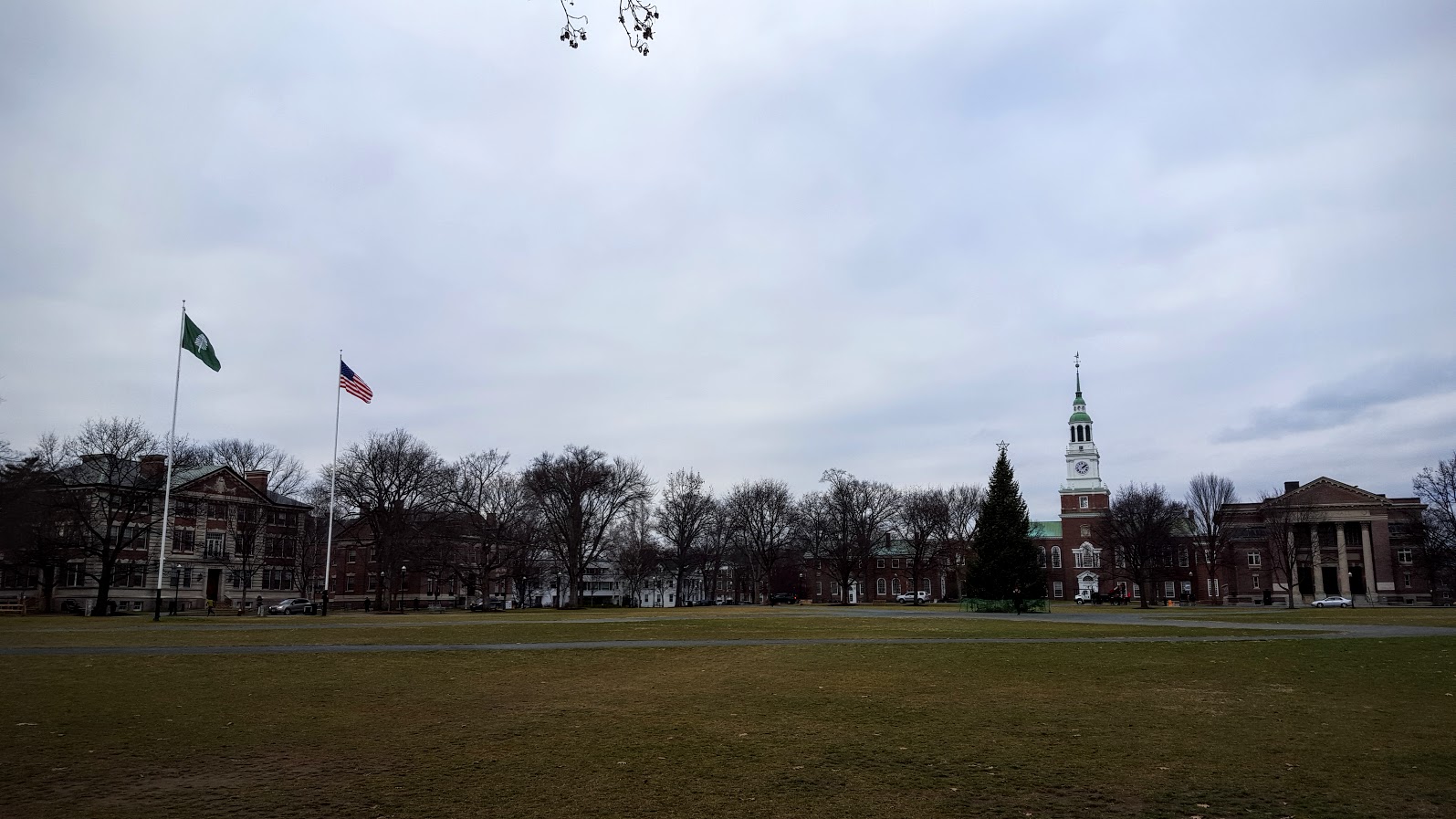 Future Plants By Randy Stewart Caragana