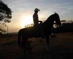 HIPISMO E EQUITAÇÃO