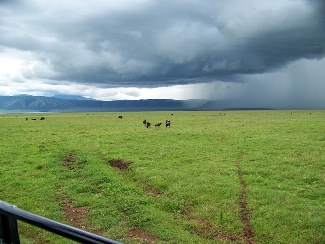 NGORONGORO CRATER TANZANIA