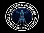 Anatomia Humana